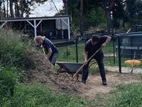 Gemeinsam geht es schneller voran: 25 Schubkarren.