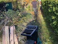 Man sieht: Weg mit den zahllosen &Auml;sten und Zweigen und ... 