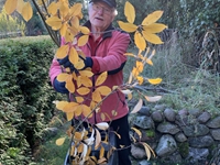 Nu aber wech damit ...