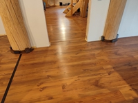 03.12.2025: Bis auf einen haben alle (machbaren) B&auml;ume braune Schuhe an